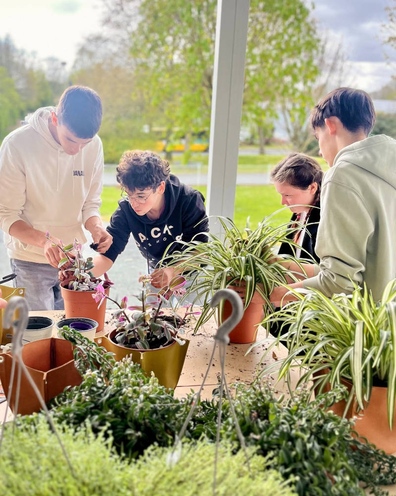 "Élèves de l'Éco-Comité en train de végétaliser les espaces du lycée : plantation de plantes vertes et fleuries dans des pots en terre cuite.